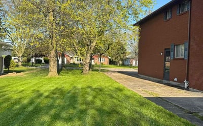 Photo of Tim F.'s yard after getting lawn care in Arlington, TX