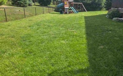 Photo of Crystal J.'s yard after getting lawn care in Corpus Christi, TX