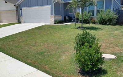 Photo of Debbie G.'s yard after getting lawn care in Spicewood, TX