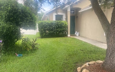 Photo of Wendy G.'s yard after getting tree care in Clearwater Beach, FL