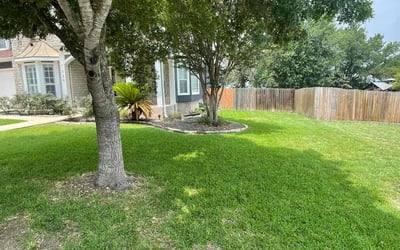 Photo of Sylvia S.'s yard after getting lawn care in Natalia, TX