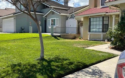 Photo of Keith S.'s yard after getting lawn care in Corona, CA