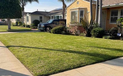 Photo of Robert W.'s yard after getting lawn care in Copperas Cove, TX