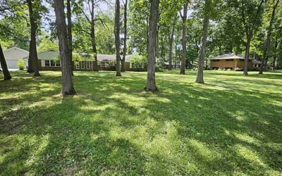 Photo of Cevista L.'s yard after getting lawn care in Simpsonville, SC