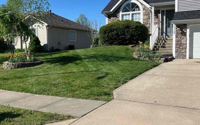 Photo of Rachel L.'s yard after getting lawn care in Liberty, MO