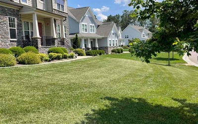 Photo of Darren G.'s yard after getting lawn care in Chester, VA