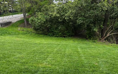 Photo of Ashley F.'s yard after getting lawn care in Loveland, OH