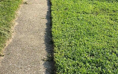 Photo of Chasidy T.'s yard after getting lawn care in Severna Park, MD