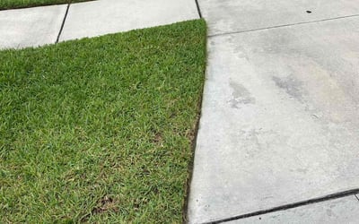 Photo of Naresh V.'s yard after getting lawn care in Taylorsville, NC