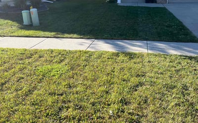 Photo of Joyce R.'s yard after getting lawn care in West Fargo, ND