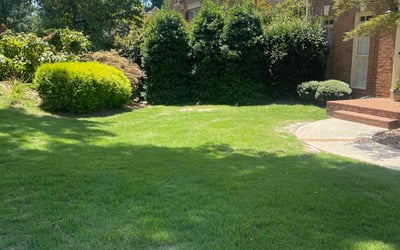 Photo of Joan M.'s yard after getting lawn care in Duluth, GA