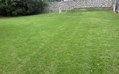 Photo of Daisy F.'s yard after getting lawn care in Liberty Hill, TX