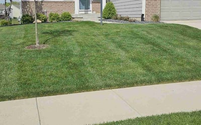 Photo of Andres S.'s yard after getting lawn care in Boerne, TX