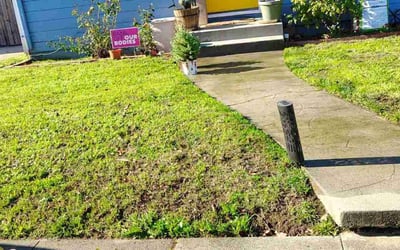 Photo of Shannon S.'s yard after getting lawn care in Milpitas, CA