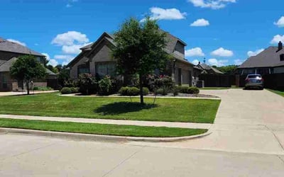 Photo of Hayley C.'s yard after getting lawn care in Princeton, TX