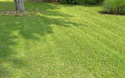 Photo of Joshua W.'s yard after getting lawn care in Carnegie, PA
