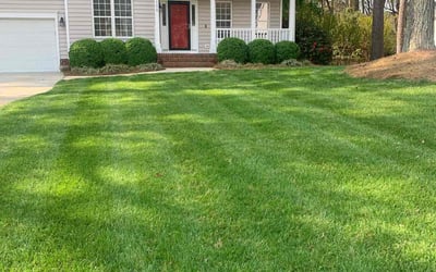 Photo of Adam P.'s yard after getting lawn care in Knightdale, NC