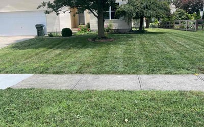 Photo of Andrew s.'s yard after getting lawn care in Middletown, OH