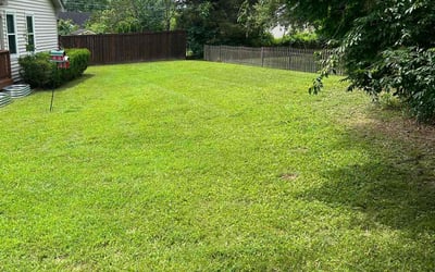 Photo of Dalton W.'s yard after getting lawn care in Burns, TN