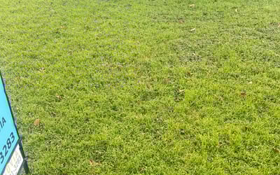 Photo of Jaisyn M.'s yard after getting lawn care in Taunton, MA