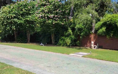 Photo of Susuana A.'s yard after getting lawn care in Manorville, NY