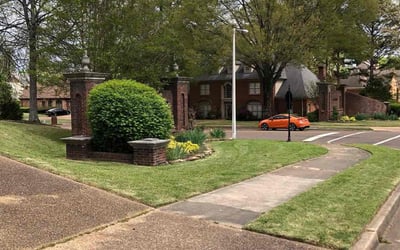 Photo of Sean L.'s yard after getting lawn care in Germantown, TN
