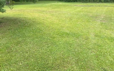Photo of Serena J.'s yard after getting lawn care in Hudson, WI