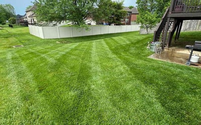 Photo of Jen A.'s yard after getting lawn care in Homestead, FL