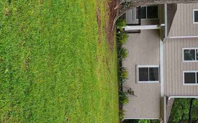 Photo of Nathan B.'s yard after getting lawn care in Bronx, NY