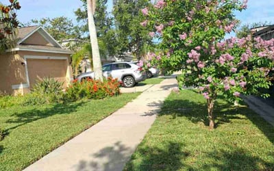 Photo of Wasif A.'s yard after getting lawn care in Niagara Falls, NY