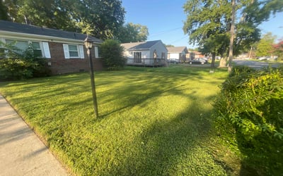 Photo of Samad Z.'s yard after getting lawn care in Tomball, TX