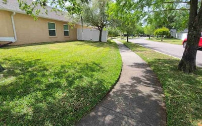 Photo of Vanessa B.'s yard after getting lawn care in Orlando, FL
