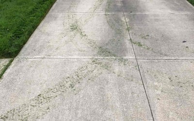 Photo of Keegan C.'s yard after getting lawn care in Verona, NJ