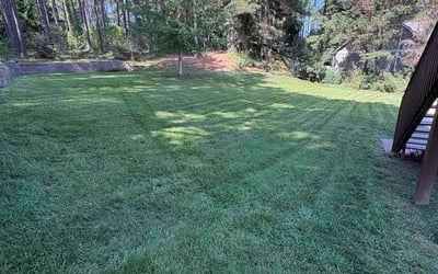 Photo of Kenasia A.'s yard after getting lawn care in Cordova, TN