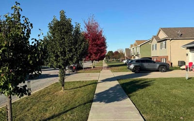 Photo of Patti K.'s yard after getting lawn care in Cedar Lake, IN
