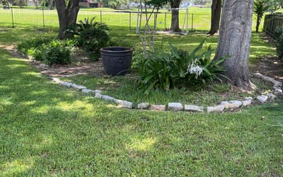 Photo of Linh C.'s yard after getting lawn care in Missouri City, TX
