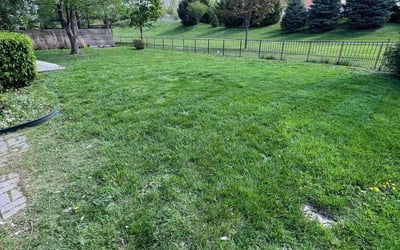 Photo of Nick R.'s yard after getting lawn care in Rocky River, OH