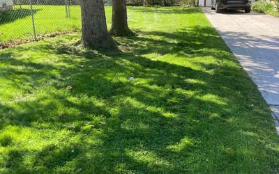 Photo of Brendan D.'s yard after getting lawn care in Clinton Township, MI