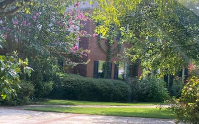 Photo of Steven S.'s yard after getting lawn care in Roswell, GA