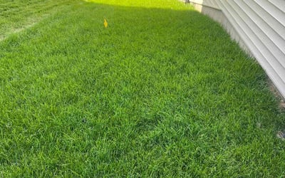 Photo of Kristi H.'s yard after getting lawn care in Lake Orion, MI