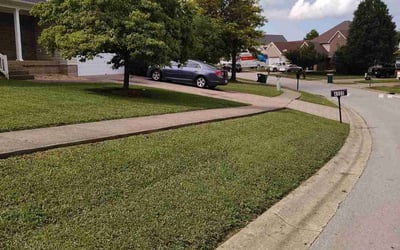 Photo of Susana A.'s yard after getting lawn care in La Grange, KY
