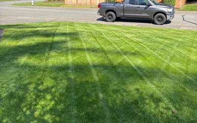 Photo of Dali K.'s yard after getting lawn care in Maple Valley, WA