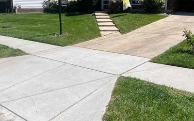 Photo of Ricky T.'s yard after getting lawn care in Riverdale, MD