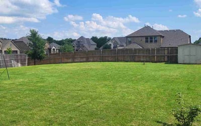 Photo of Rosalie M.'s yard after getting lawn care in Wylie, TX