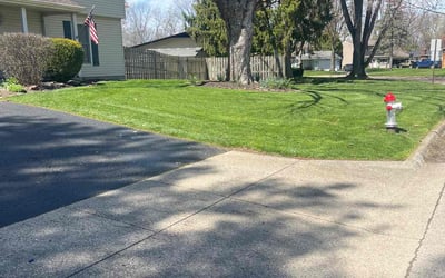 Photo of Curtis P.'s yard after getting lawn care in London, OH