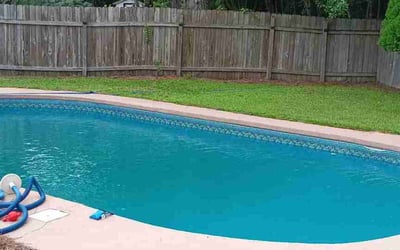 Photo of Laura M.'s yard after getting lawn care in Catonsville, MD