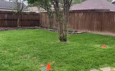Photo of Veronica L.'s yard after getting lawn care in Universal City, TX