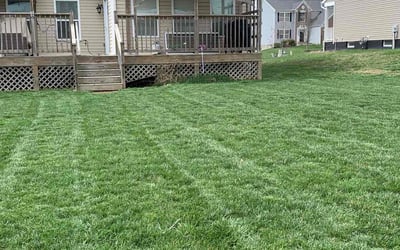 Photo of Reza M.'s yard after getting lawn care in Pataskala, OH