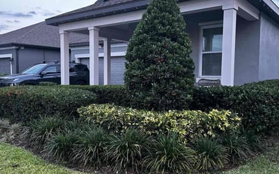 Photo of Leslie H.'s yard after getting lawn care in Point Pleasant Beach, NJ