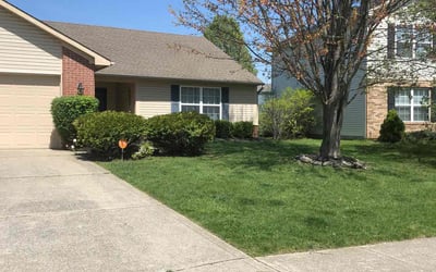 Photo of April C.'s yard after getting lawn care in Scottsburg, IN
